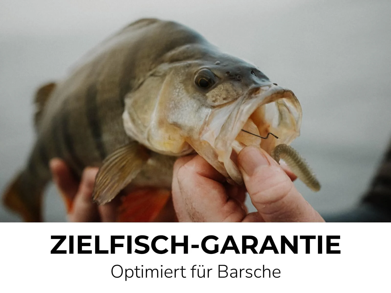ABRAM (8 Stück) - Barsch Gummiköder - Image 35