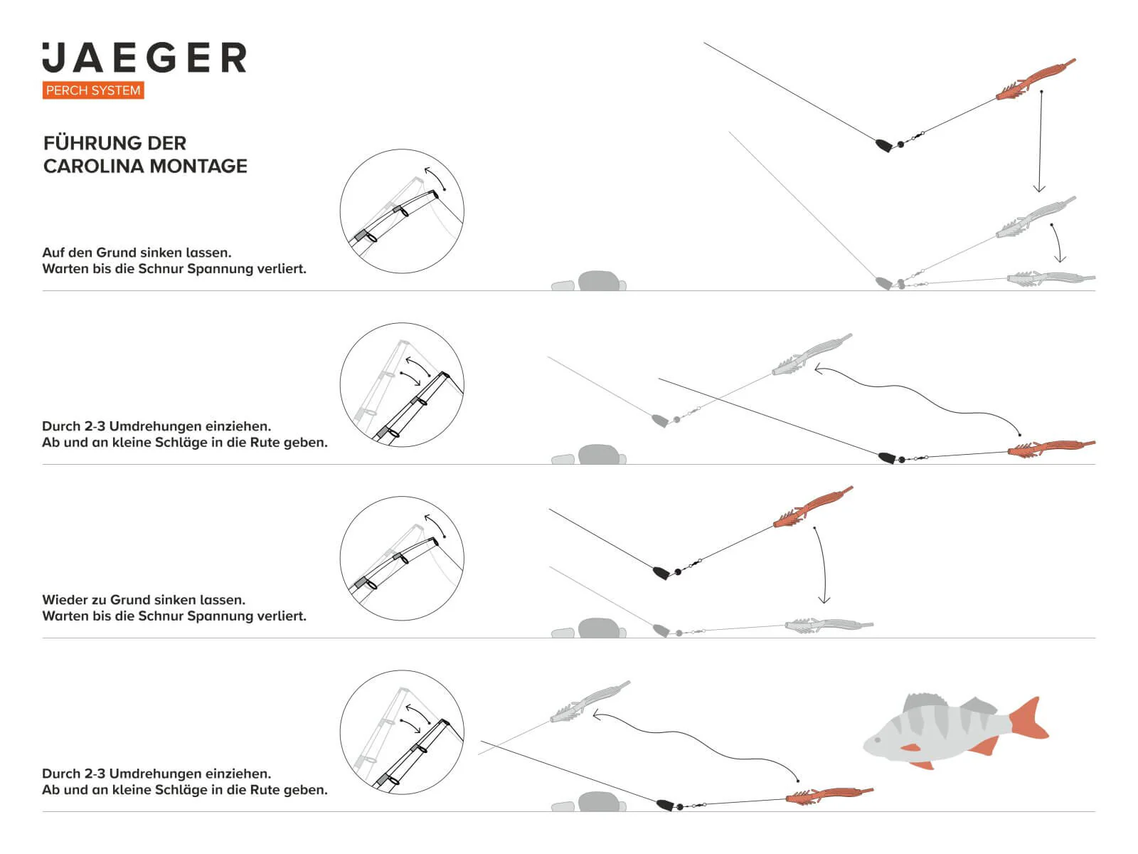 Carolina Rig - Barsch Montage - Image 7
