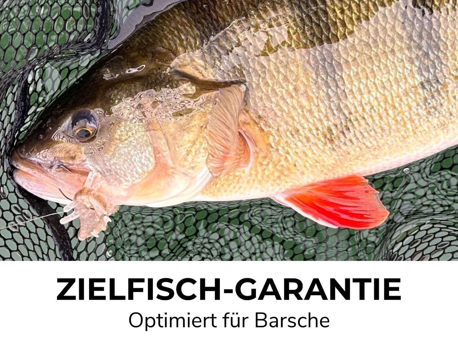 PARA - Barsch Gummiköder - Image 10