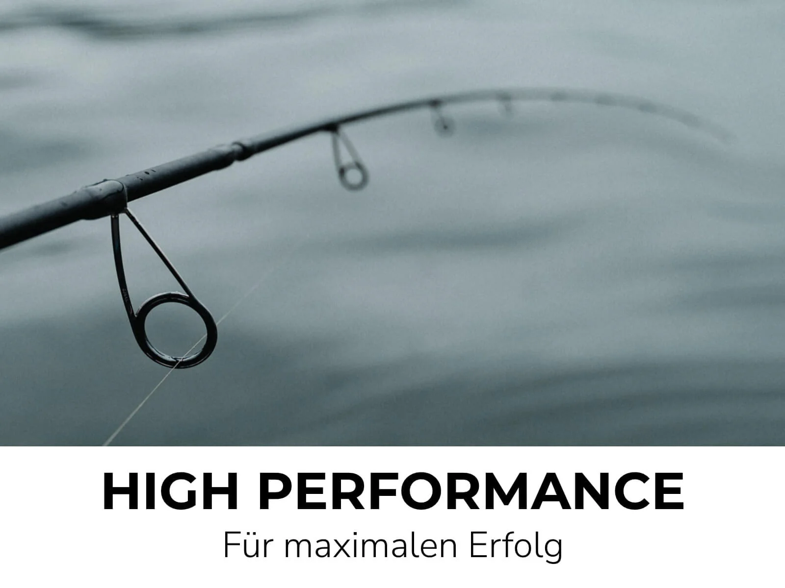 PERCH ONE - ALLROUNDER BARSCH RUTE - Image 6