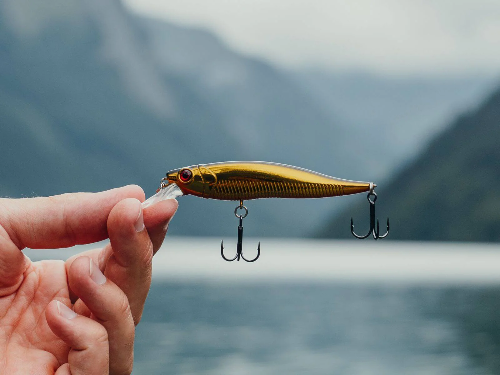 THOR - Barsch Hardbait - Image 15