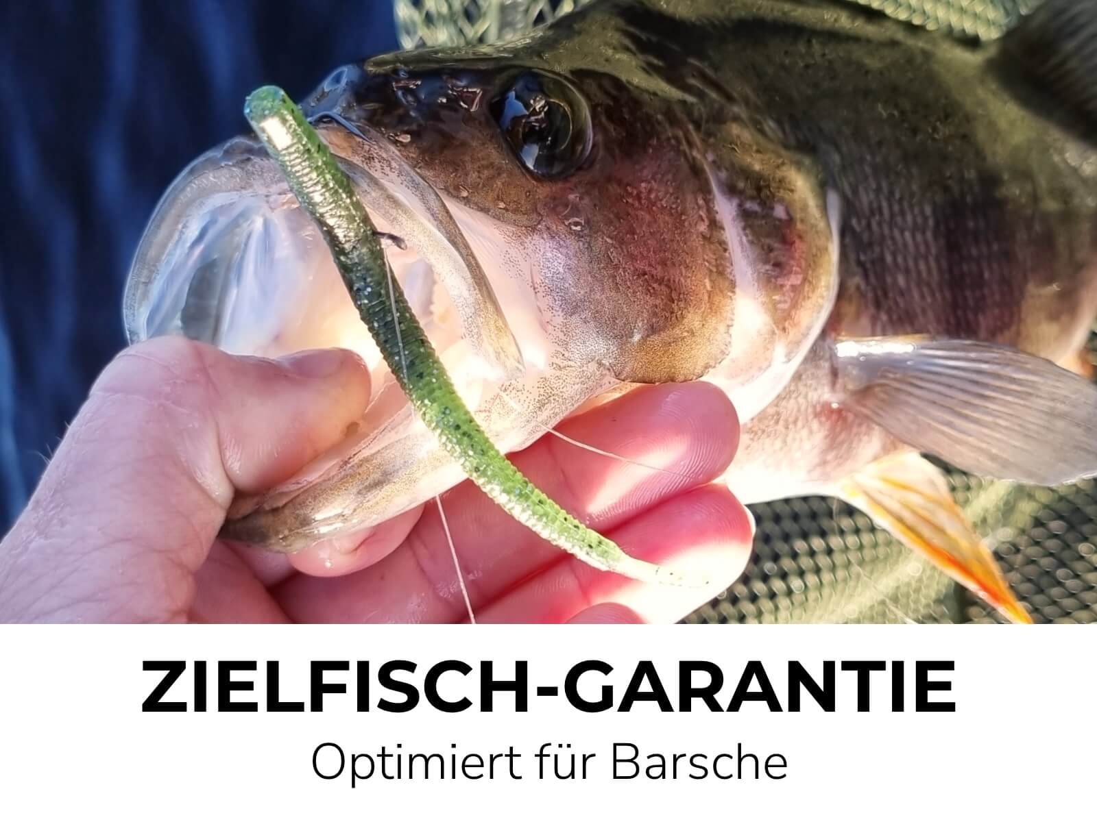 OPIS (8 Stück) - Barsch Gummiköder - Image 5